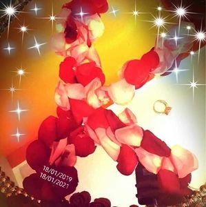 Meet your Posher, Ayllana